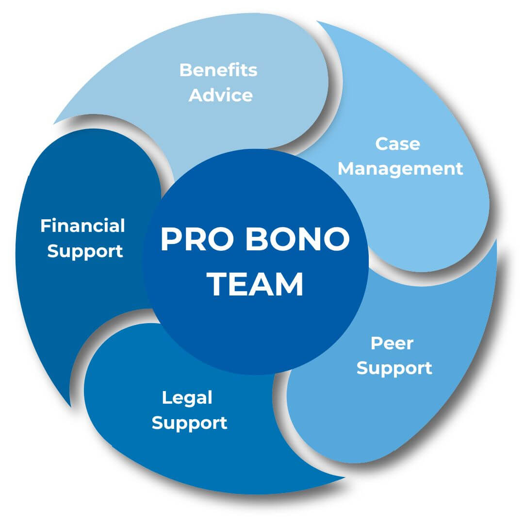 Graphic of wheel with the 5 core roles of the pro bono team: benefits advice, case management, financial support, legal support, and peer support